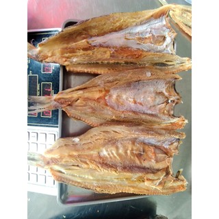 Cá môi trắng
