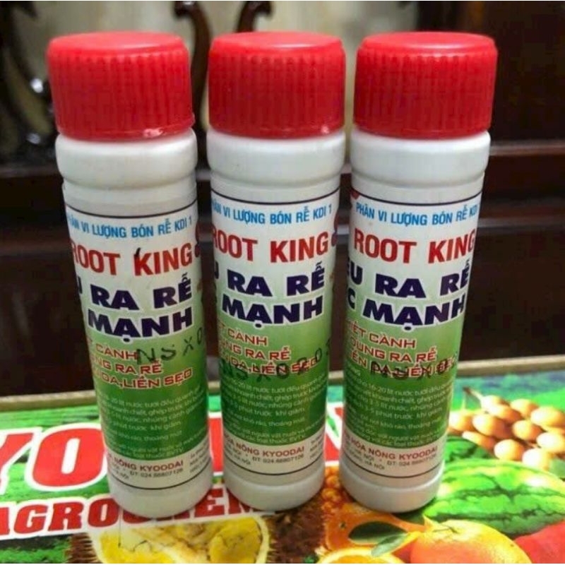 Thuốc kích rễ cây ROOTKING - 20ml
