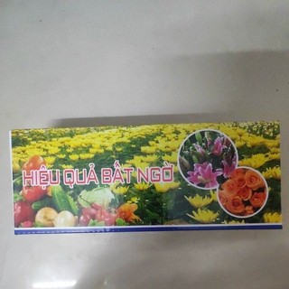 Thuốc kích rễ cây ROOTKING - 20ml