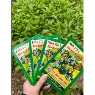 Phân bón lá KALI BO : siêu ra hoa,đậu quả -25g