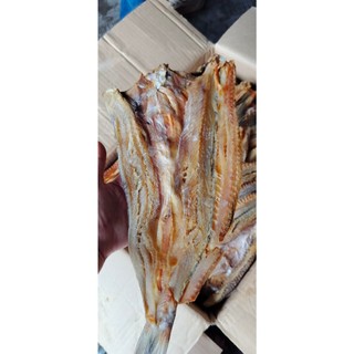 Cá môi trắng