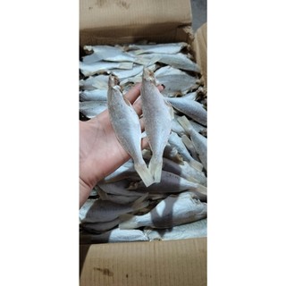 Cá Đổng khô -Hải sản khô-Nam Định seafood