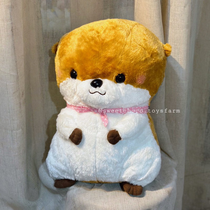 GẤU BÔNG RÁI CÁ AMUSE DỄ THƯƠNG