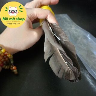 Trái cầu lông đá chân cầu lông gà