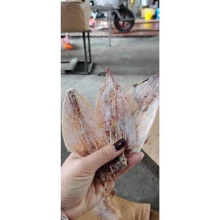 mực khô loại 100-110 con 1 kg