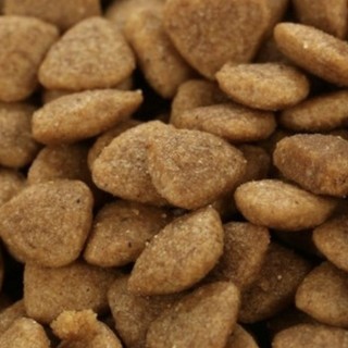 [THỨC ĂN CHO MÈO] THỨC ĂN CATSRANG CHO MÈO MỌI LỨA TUỔI - GÓI 2KG