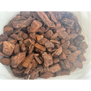 1kg vỏ thông size 2-3cm