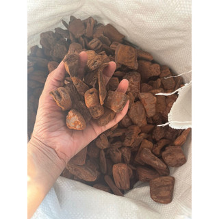 1kg vỏ thông size 1-1cm, 2-3cm, 3-4cm