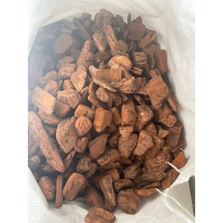 1kg vỏ thông size 1-1cm, 2-3cm, 3-4cm