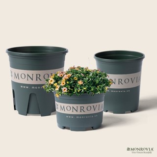Chậu nhựa trồng cây MONROVIA size Nhỏ trong nhà, sân vườn cho hoa hồng, cây cảnh, kiểng lá tiêu chuẩn Châu Âu