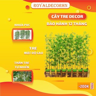 Cây tre trúc ,cây tre giả ,trang trí cây cảnh decor phòng khách cắm trước cửa hoặc sân vườn nhà như cây thật