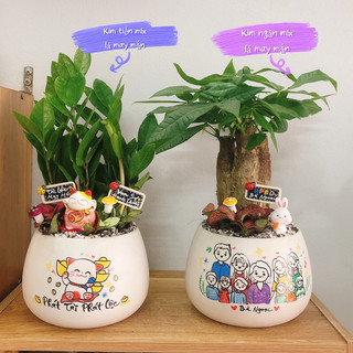{Chọn theo loại cây} Chậu cây vẽ chibi theo yêu cầu