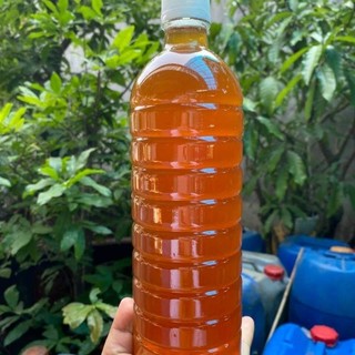 Mật ong cà phê Đaklak