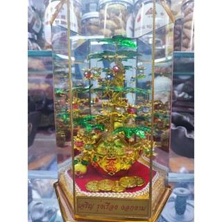 Cây Như Ý Phong Thủy May Mắn