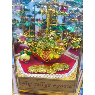 Cây Như Ý Phong Thủy May Mắn