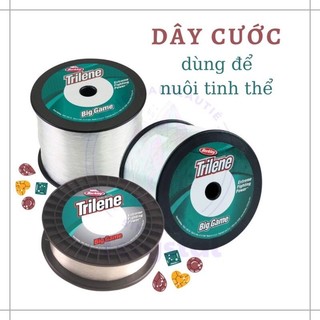 1 mét - Dây cước dùng để nuôi tinh thể