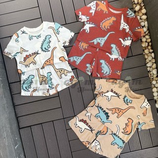 Combo 3 bộ cotton khủng long trẻ em vnxk
