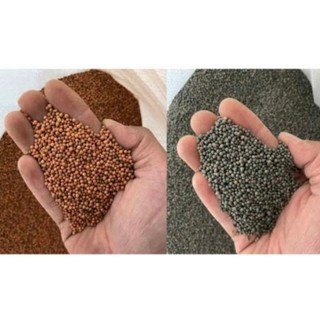 Gốm Trải Nền Hạt Đỏ Và Hạt Đen Dùng Để Trải Nền Bể Thủy Sinh Bể Cá Cảnh