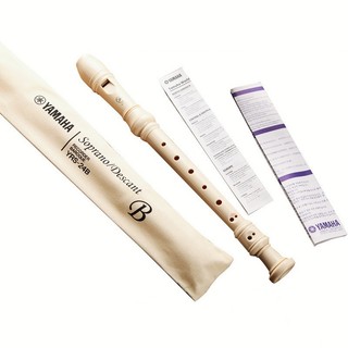 SÁO RECORDER 8 LỖ HỌC SINH ( GIÁ THU HỒI VỐN)