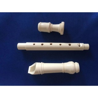 SÁO RECORDER 8 LỖ HỌC SINH ( GIÁ THU HỒI VỐN)