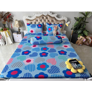 ga gối thun Hàn quốc (nhiều mẫu)