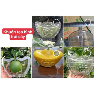 khuân ép hình quả bưởi. lê.dưa .xoài. khuôn dày bắt ốc loại tốt