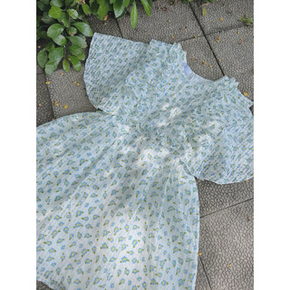 ĐẦM BABYDOLL HOA BÈO NGỰC