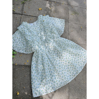 ĐẦM BABYDOLL HOA BÈO NGỰC