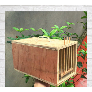Hộp cốp đựng chim tiện lợi ,hộc chuyển chim chào mào choef mi khiếu