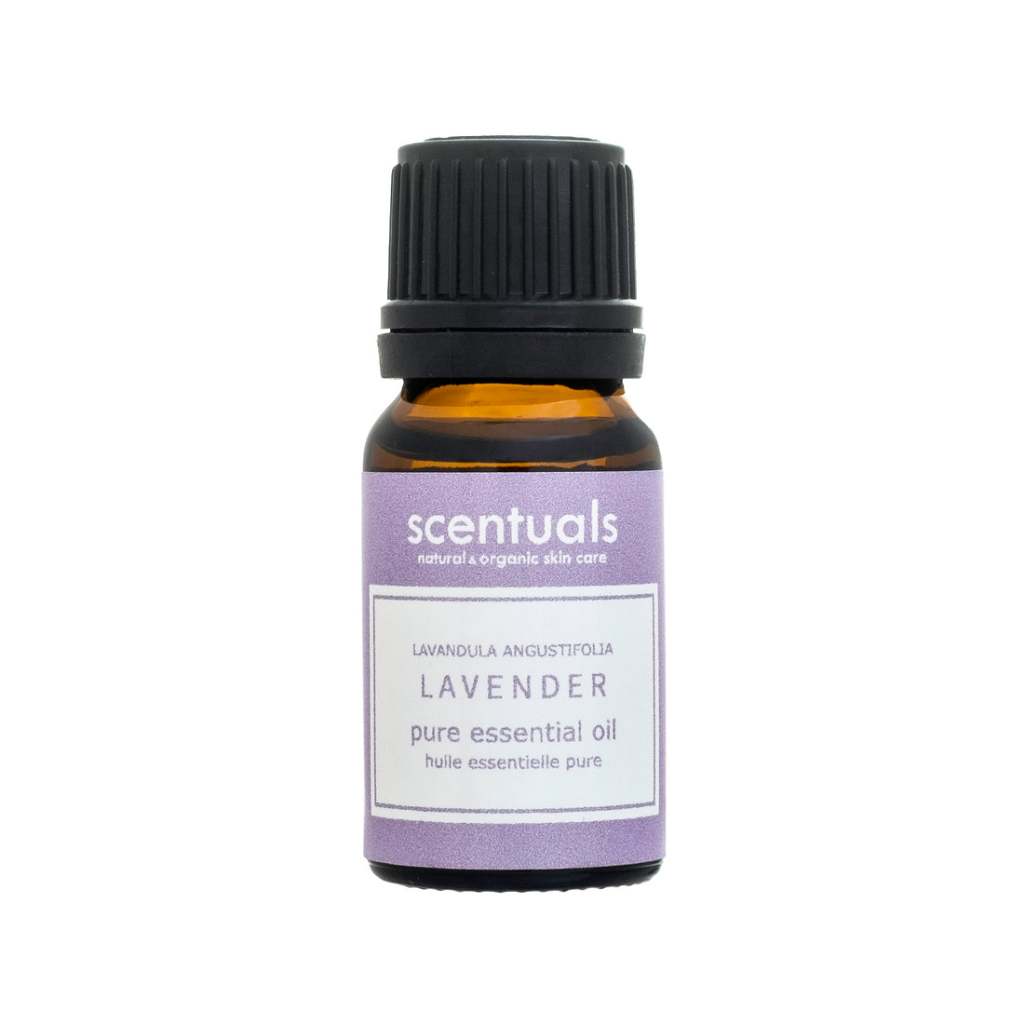 Tinh Dầu Lavender 10ml - Scentuals