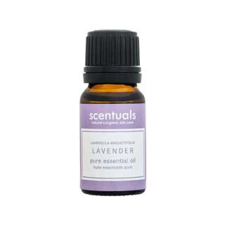 Tinh Dầu Lavender 10ml - Scentuals