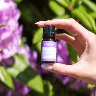 Tinh Dầu Lavender 10ml - Scentuals