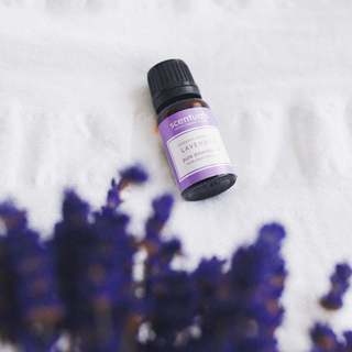 Tinh Dầu Lavender 10ml - Scentuals