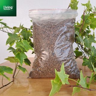 Đá pumice, Đá bọt Pumice cho sen đá,hoa hồng, hoa lan, các loại cây kiểng | Living Decor