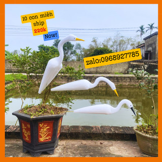 Combo mười cò trắng xốp dẻo bẻ không gãy,cò xốp dẻo