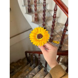 Lẻ đầu bông hoa sáp hướng dương