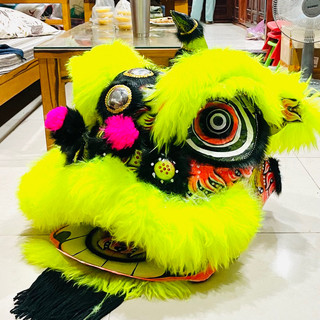 🧿 Nguyên bộ đầu lân 7 đến 14 tuổi