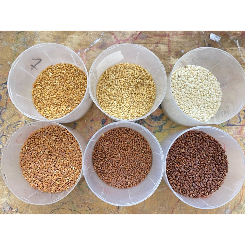(100g) 6 màu gạo tấm rang dùng làm tranh gạo
