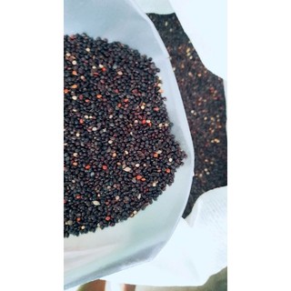 1Kg Hạt kê đen dành cho chim