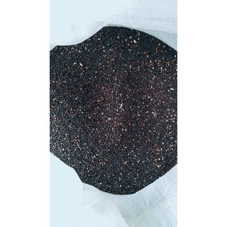 1Kg Hạt kê đen dành cho chim