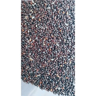 1Kg Hạt kê đen dành cho chim
