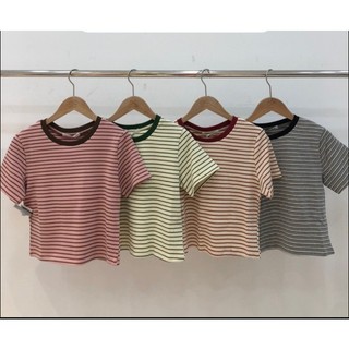 Aó thun crop kẻ ngang viền màu cổ 8021263