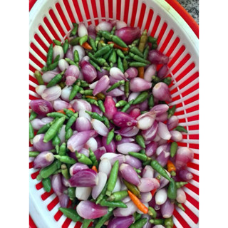  700gram Tỏi Lý Sơn ngâm chua ngọt Tỏi ngâm chua ngọt ngâm từ giấm nuôi sạch sẽ thơm ngon 100% hành tỏi Đảo 