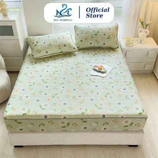 Chiếu điều hòa bọc chun M2T BEDDING, chiếu cao su non mềm, mát, thấm hút mồ hôi