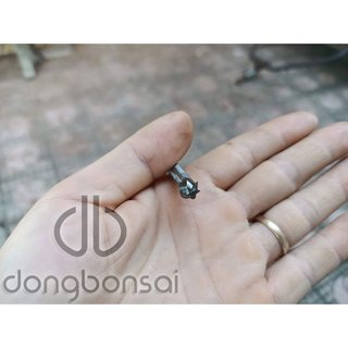 Mũi lũa cầu cao cấp trục 6mm chuyên làm hốc bọng lũa