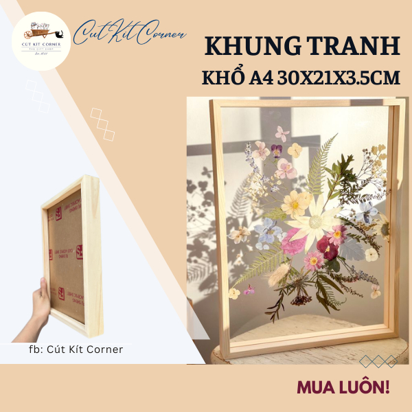 Khung tranh kích thước A4 30x20, khung tranh để bàn, khung tranh trong suốt, khung tranh 3D - giá xư