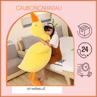 GẤU BÔNG VỊT TRẦM CẢM
