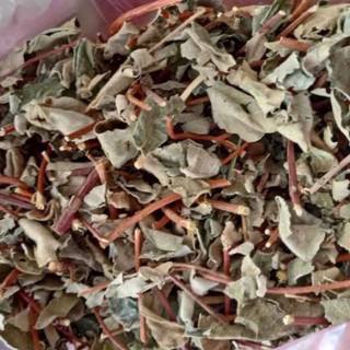 100g cây lá hà thủ ô phơi khô