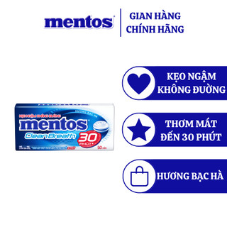  Hộp thiếc Kẹo ngậm không đường Mentos Pure Fresh