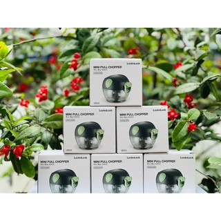 MÁY XAY TỎI ỚT MINI LOCK CKS321